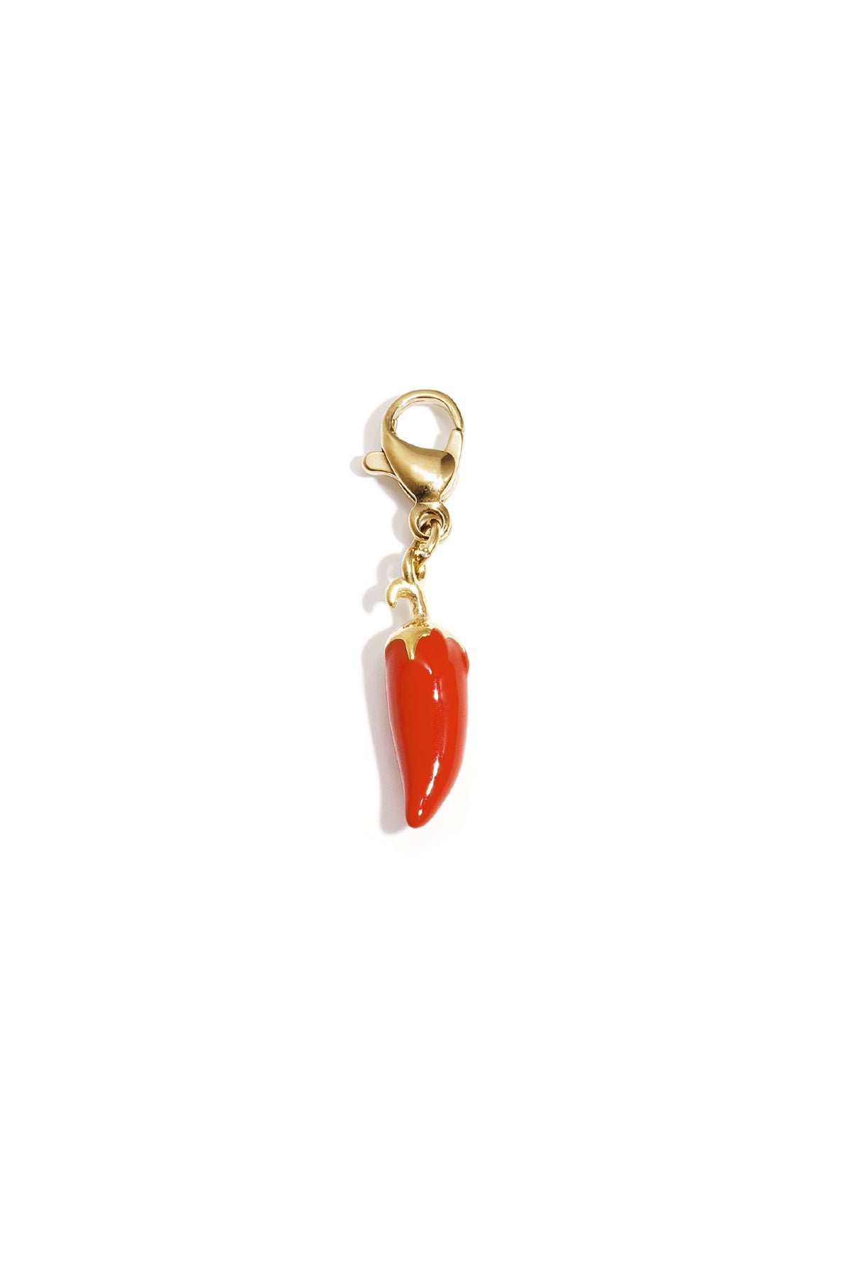 Schmuckanhänger mit scharfer Paprika zum Selbermachen
